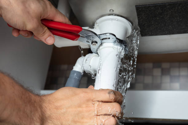 Best Water damage cleanup near me  in Glenn Dale, MD