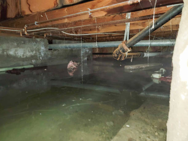 Best Flooded house restoration  in Glenn Dale, MD
