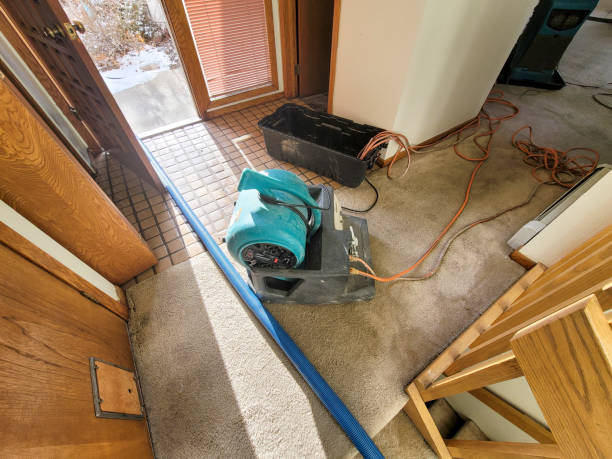 Best Water damage restoration process  in Glenn Dale, MD