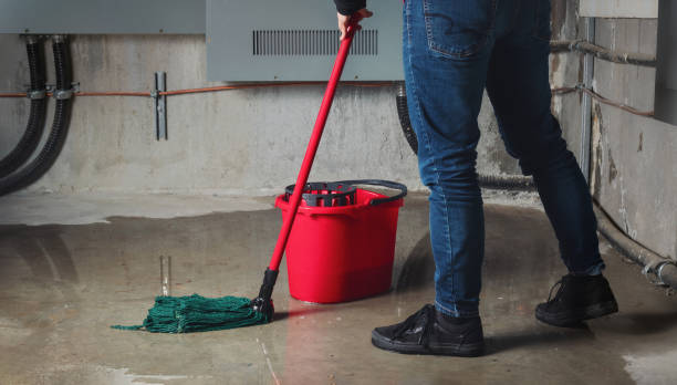 Best Water damage cleanup near me  in Glenn Dale, MD