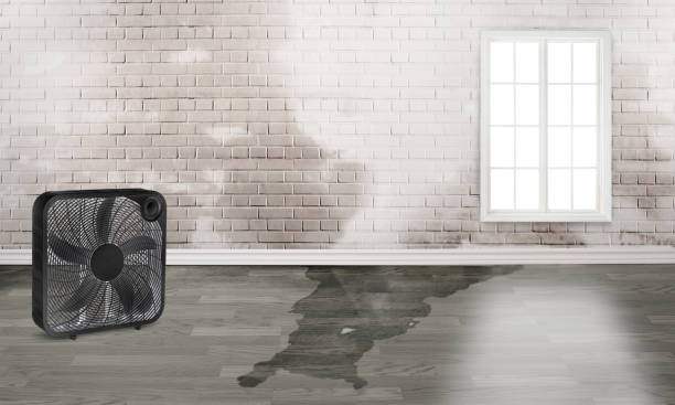 Best Water damage restoration insurance claims  in Glenn Dale, MD