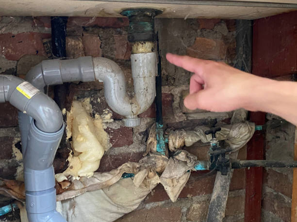 Best Flood damage cleanup  in Glenn Dale, MD