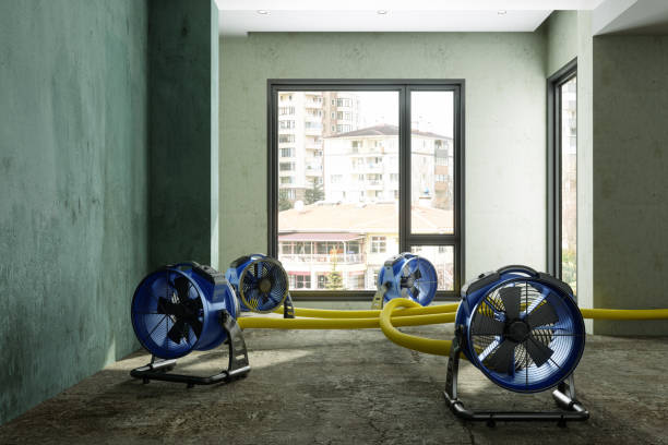 Best Water damage repair service  in Glenn Dale, MD